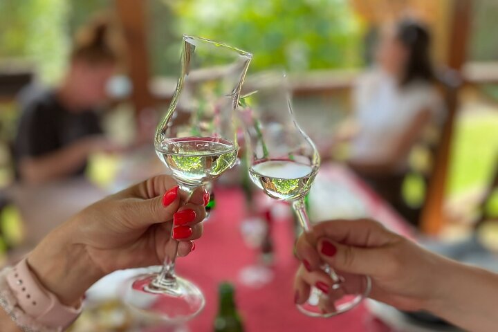 Tokaj Sky Bridge with Wine Experience