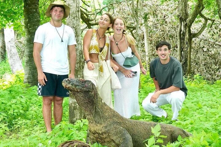 2 Day Trip Labuan Bajo Komodo Stay in Local Collection Hotel