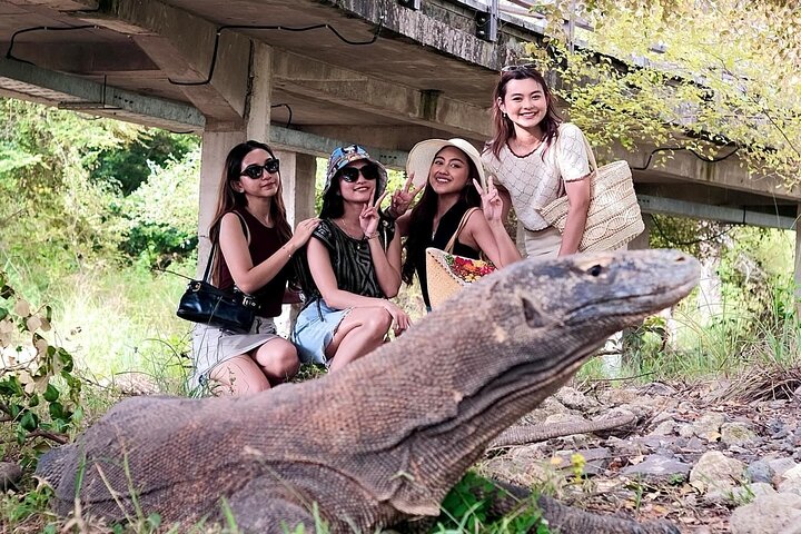 2 Day Trip Labuan Bajo Komodo Stay in Local Collection Hotel