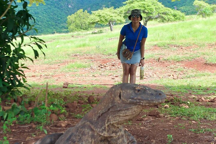 2 Day Trip Labuan Bajo Komodo Stay in Local Collection Hotel