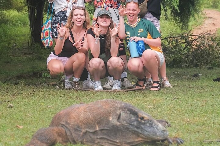 2 Day Trip Labuan Bajo Komodo Stay in Local Collection Hotel