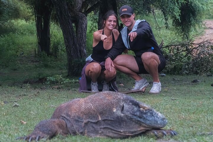 2 Day Trip Labuan Bajo Komodo Stay in Local Collection Hotel