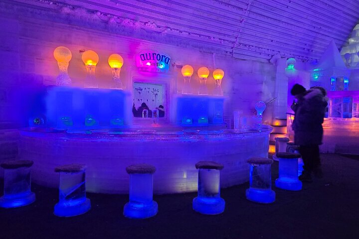 Midnight Sun Magic Chena Hot Springs Soak and Ice Museum Tour