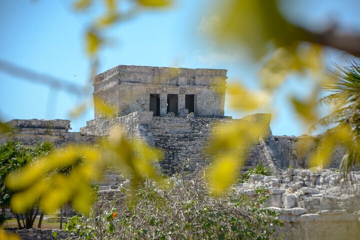 Tulum Ruins, Turtles in Akumal and Cenote tour