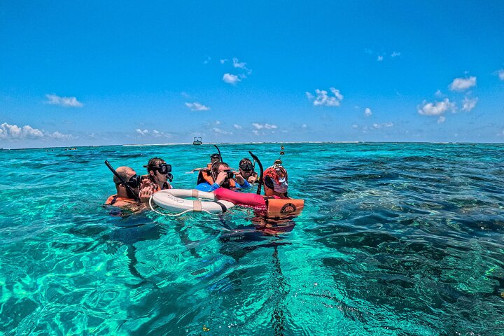 Tulum Ruins, Turtles in Akumal and Cenote tour