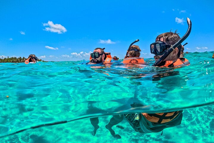 Tulum Ruins, Turtles in Akumal and Cenote tour