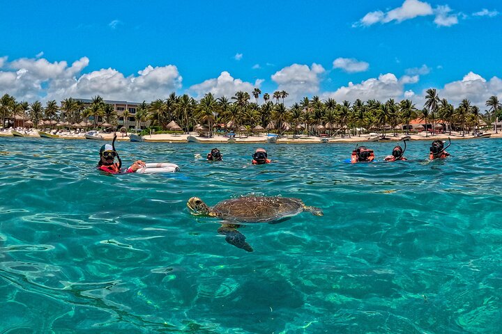 Tulum Ruins, Turtles in Akumal and Cenote tour