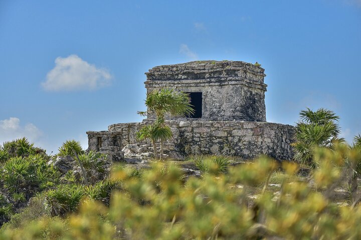 Tulum Ruins, Turtles in Akumal and Cenote tour