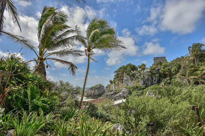 Tulum Ruins, Turtles in Akumal and Cenote tour