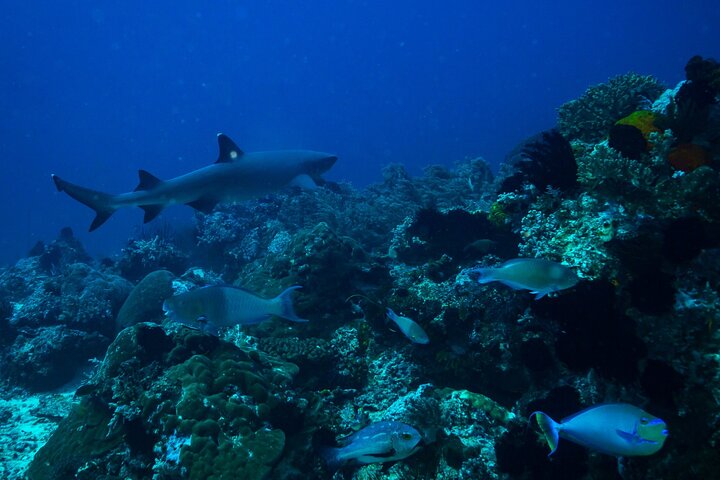 Santa Fe Island & Playa Escondida Snorkeling Day Trip