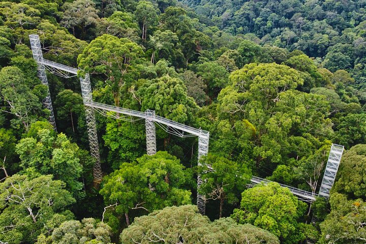 Explore Temburong with Canopy Tower