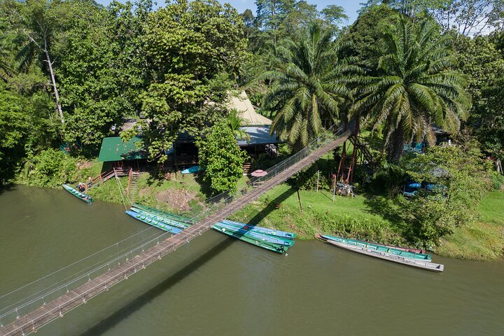 Explore Temburong with Canopy Tower