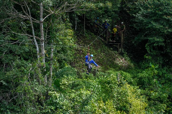 Explore Temburong with Canopy Tower