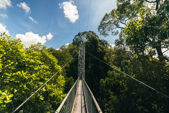 Explore Temburong with Canopy Tower