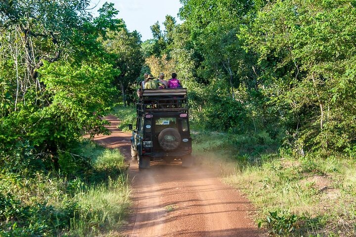 2 Days 1 Night Wildlife Safari at Mole Park (Round trip flights)