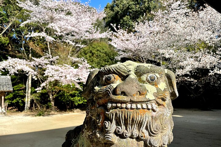 From Fukuoka Kyushu Itoshima Hidden Gems Day Tour
