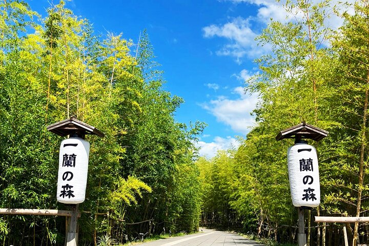 From Fukuoka Kyushu Itoshima Hidden Gems Day Tour