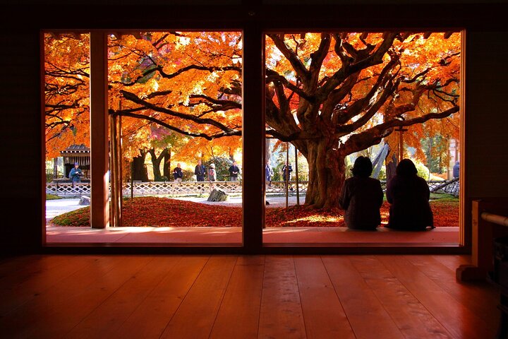 From Fukuoka Kyushu Itoshima Hidden Gems Day Tour