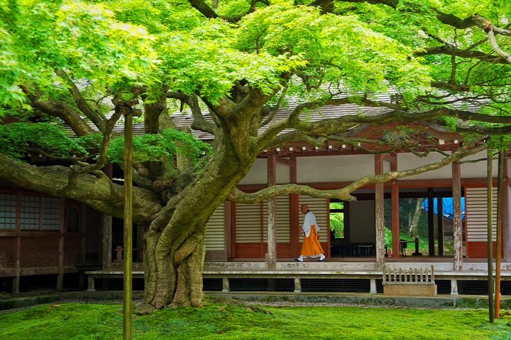 From Fukuoka Kyushu Itoshima Hidden Gems Day Tour