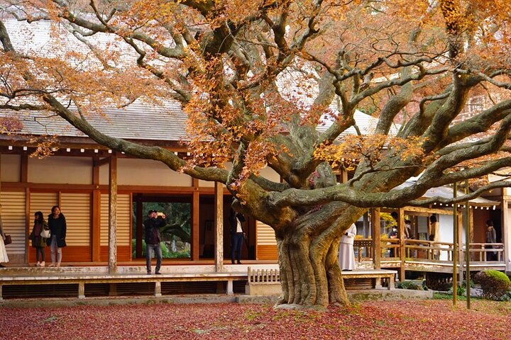 From Fukuoka Kyushu Itoshima Hidden Gems Day Tour