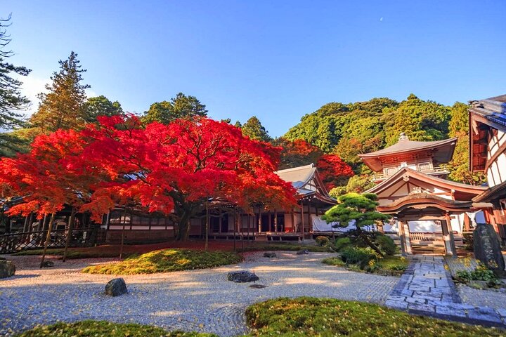 From Fukuoka Kyushu Itoshima Hidden Gems Day Tour