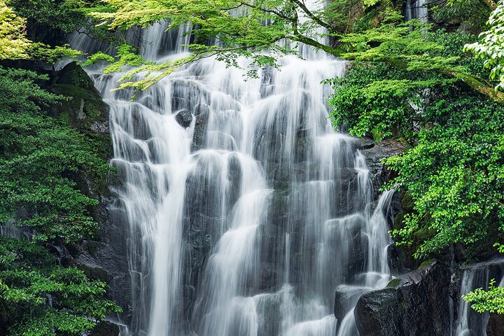 From Fukuoka Kyushu Itoshima Hidden Gems Day Tour