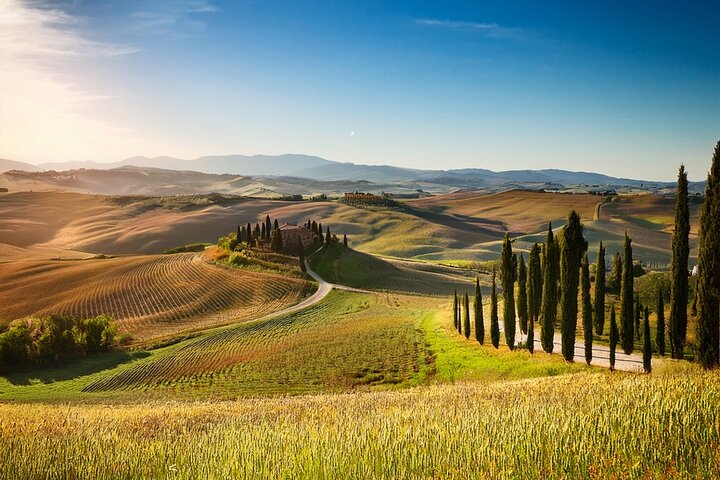 Photography Guided Tour in the Heart of Val D'Orcia and Tuscany