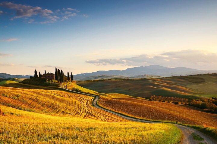 Photography Guided Tour in the Heart of Val D'Orcia and Tuscany