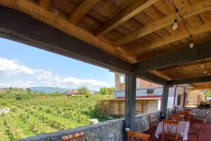 S&S Winery - Wine Tasting Experience in Ohrid