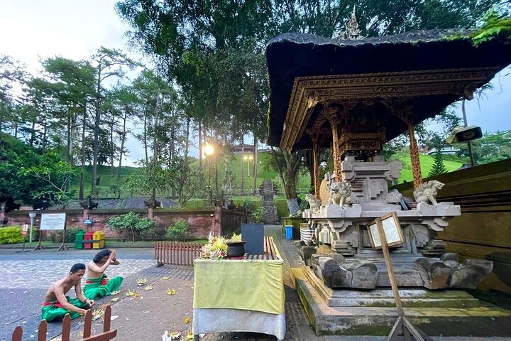 Discover The Best of Ubud: All-Inclusive and Private Guided Tour
