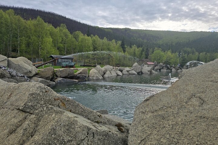 Midnight Sun Magic Chena Hot Springs Soak and Ice Museum Tour
