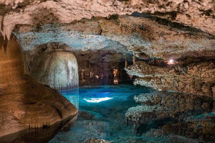 Half-Day Sea Turtle and Cenote Snorkeling Tour from Cancun & Riviera Maya