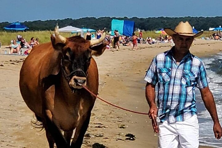 Martha Vineyard Bus Tour