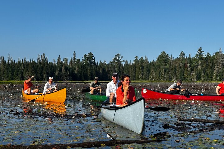 1 Day Canoeing Tour in Algonquin Park