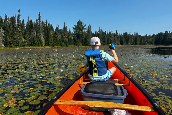 1 Day Canoeing Tour in Algonquin Park