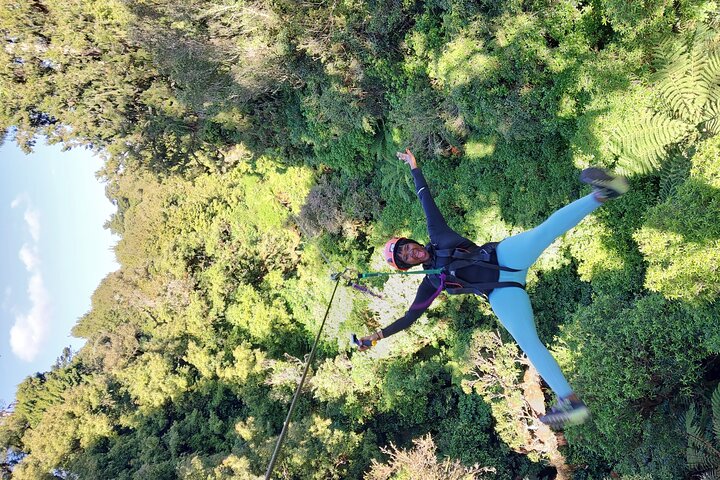 Rotorua Canopy Tours: 2.5Hour Native Forest Zipline Adventure