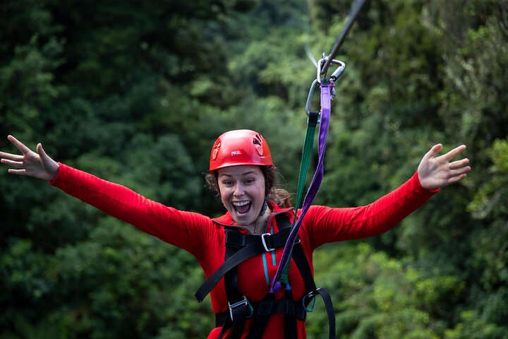 Rotorua Canopy Tours: 2.5Hour Native Forest Zipline Adventure