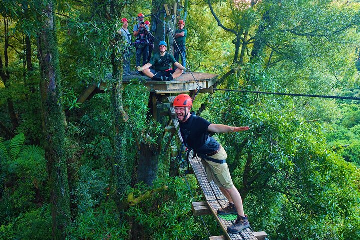 Rotorua Canopy Tours: 2.5Hour Native Forest Zipline Adventure