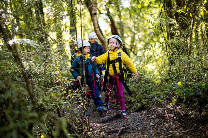 Rotorua Canopy Tours: 2.5Hour Native Forest Zipline Adventure