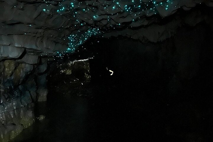 Hamilton : Spellbound Glowworm & Cave Explorer Small Group Tour