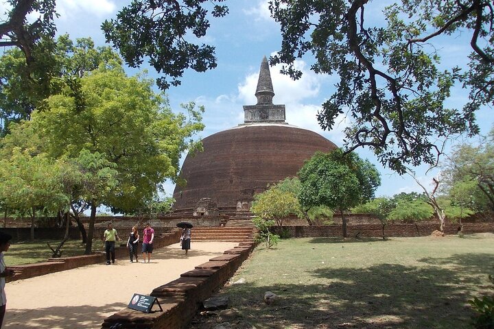 Private Polonnaruwa Ruins & Minneriya Safari Tour from Sigiriya