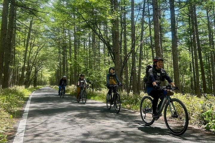 Nikko: Kegon Falls & Lake Chuzenji 3-Hour E-Bike Tour