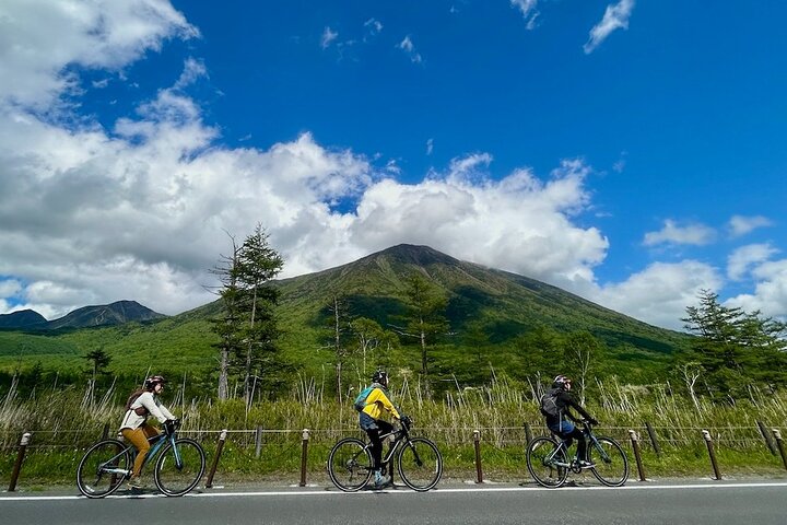 Nikko: Kegon Falls & Lake Chuzenji 3-Hour E-Bike Tour