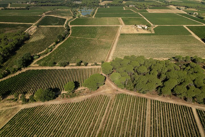 Provence Wine Tour - Small Group Tour from Nice