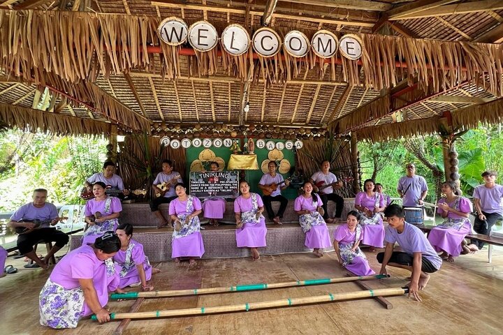 Bohol Chocolate Hills, Tarsiers & Loboc River Shared Tour