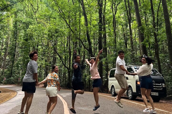 Bohol Chocolate Hills, Tarsiers & Loboc River Shared Tour