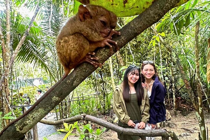 Bohol Chocolate Hills, Tarsiers & Loboc River Shared Tour