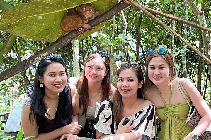 Bohol Chocolate Hills, Tarsiers & Loboc River Shared Tour