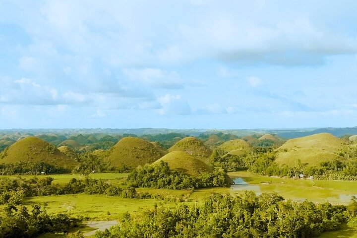 Bohol Chocolate Hills, Tarsiers & Loboc River Shared Tour