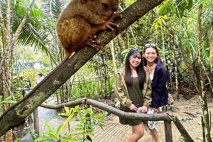 Private Bohol Tour: Chocolate Hills, Tarsiers & Loboc River